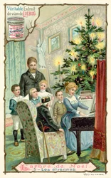 Weihnachtsbaum
