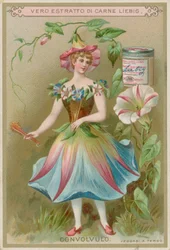 Windenblumenmädchen