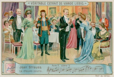 Die Fledermaus