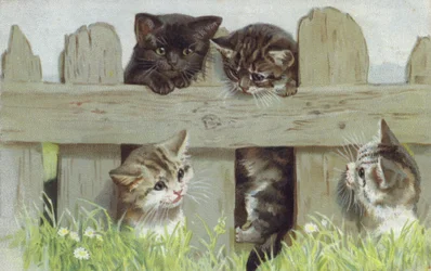 Vier Kätzchen an einem Zaun