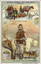 Pelz: Kanadischer Luchs; Bär und Opossum