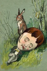 Hase neben einem schlafenden Mann auf dem Land