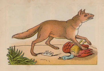 Seite aus dem magischen Buch (Farblitho)