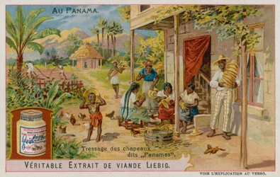 Panamahüte werden hergestellt