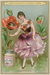 Mohnblumenmädchen