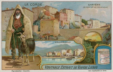 Sartene, Propriano und ein Schäfer