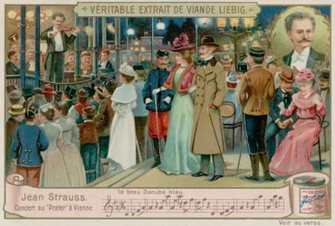 An der schönen blauen Donau