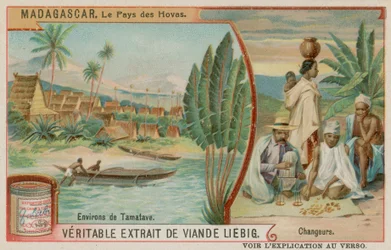 Das Land der Hova: Toamasina und Geldwechsler