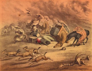 Die große afrikanische Wüste