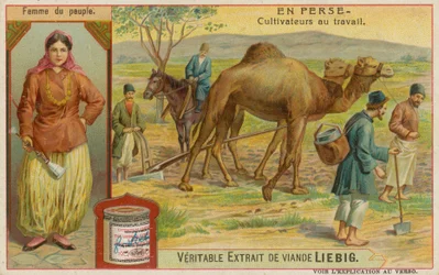 Frau und Bauern bei der Arbeit