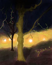 5:20 Uhr morgens, Prospect Park, Brooklyn