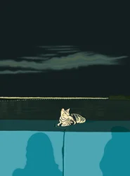 Katze auf der Mauer, Panama City, ca. 2020-24