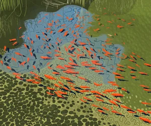 Koi-Teich im botanischen Garten