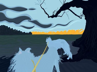 Hunde im Schatten, Brooklyn