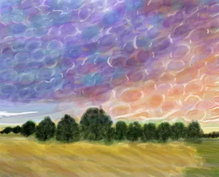 Feld in Vermont, 2018