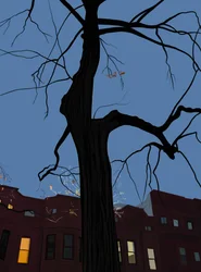Häuser und Baum bei Nacht, Brooklyn
