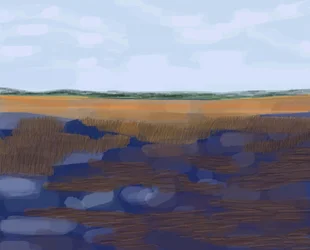 Low Country, 2016