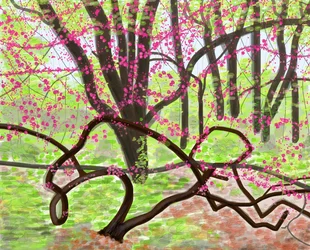 Prospect Park, Frühling, 2017