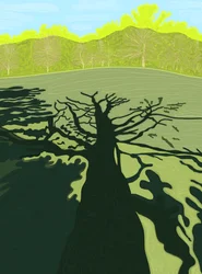 Schatten eines Baumes auf dem Feld, Brooklyn