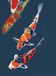 Drei Koi