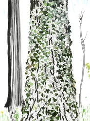 Baum mit Efeu