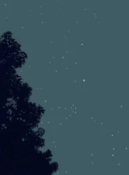 Baum und Sterne in der Nacht