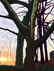 Bäume, Prospect Park, Brooklyn