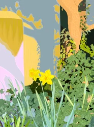 Zwei Narzissen, ca. 2020-24