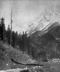 Sindh-Tal-Gletscher, Kaschmir, Indien, frühes 20. Jahrhundert