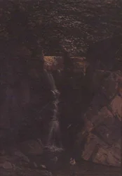 Wasserfall in einer Waldlandschaft