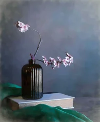 Zarte Frühlingsblüten