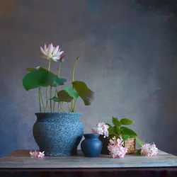 Serenes Lotus-Stillleben