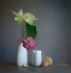 Weiches Lotus-Stillleben