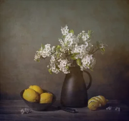 Weiße Blüten und Zitronen