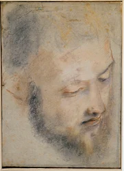 Studie eines Kopfes, Zeichnung von Barocci