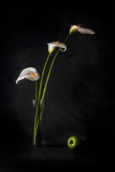 Calla-Lilien und Apfel
