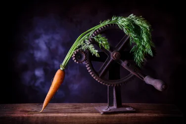 Karotte und Eisenzahnräder