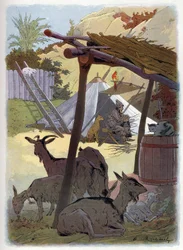 Robinson Crusoe zu Hause mit seinen Tieren