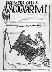 Die erste 