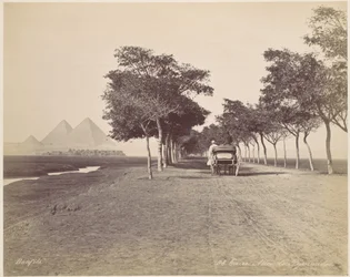 Kairo. Pyramidenallee