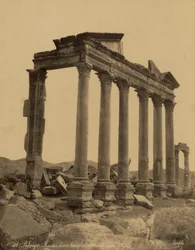 Kolonnade und Überreste des Tempels in Palmyra, Syrien