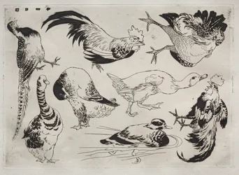 Tafelservice Rousseau: Hähne, Enten usw. Nr. 13, 1866
