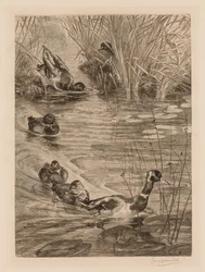 Enten beim Spielen, ca. 1870