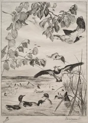 Kiebitze und Krickenten, 1862