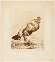 Der alte Hahn (Le Vieux Coq)