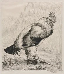 Der alte Hahn, 1882.