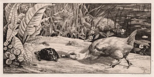 Das Unbekannte, 1862