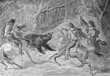 Einfangen eines Grizzlys, Illustration aus 