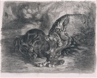 Wildes Pferd von einem Tiger niedergestreckt