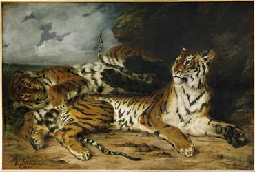 Junger Tiger spielt mit seiner Mutter